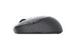 Dell Pro Wireless Mouse - MS5120W - Titan Gray